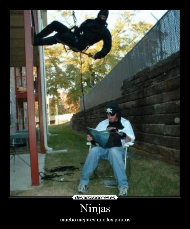 Ninjas - 