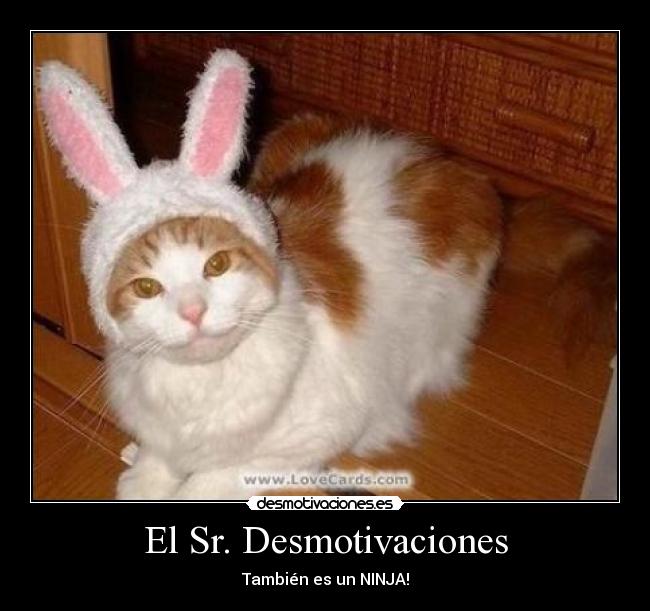 El Sr. Desmotivaciones - 