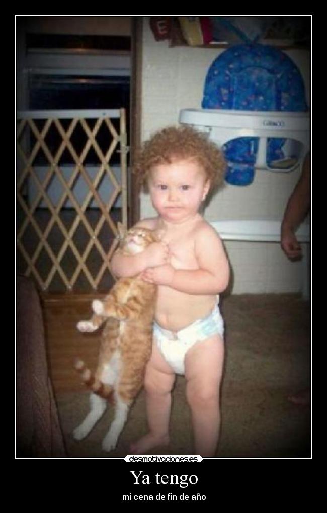 carteles gatosnino fin ano desmotivaciones