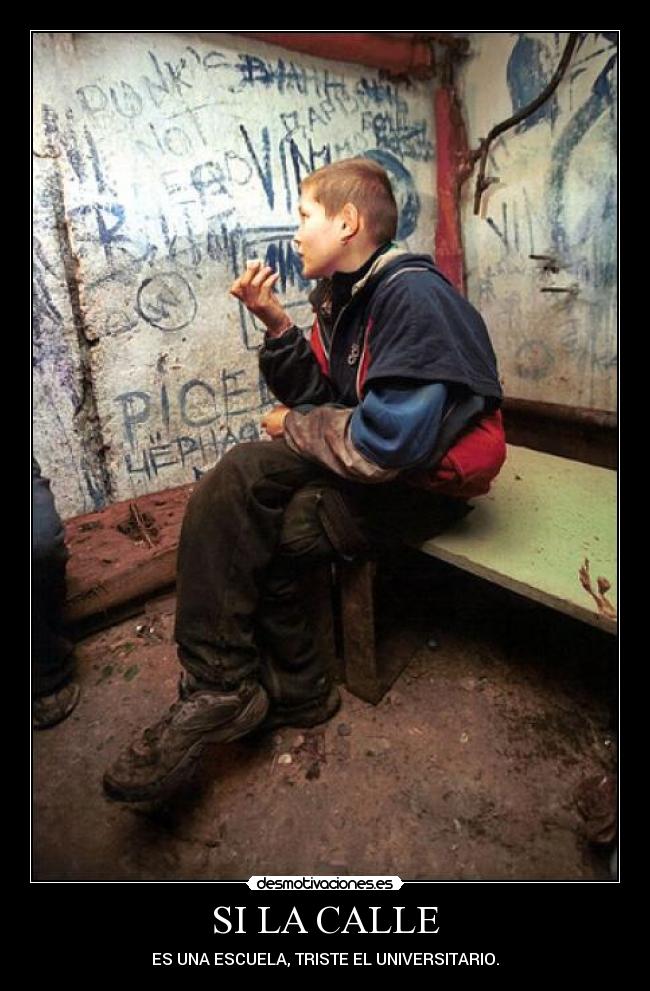 carteles calle escuela universitario desmotivaciones