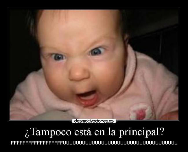 ¿Tampoco está en la principal? - FFFFFFFFFFFFFFFFFFUUUUUUUUUUUUUUUUUUUUUUUUUUUUUUUUUUUU