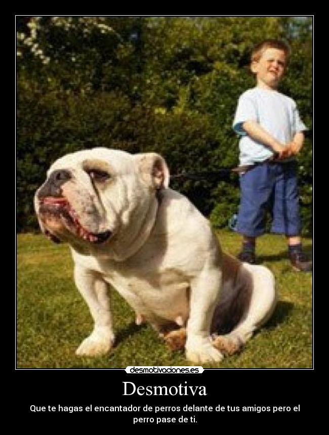 Desmotiva - Que te hagas el encantador de perros delante de tus amigos pero el perro pase de ti.