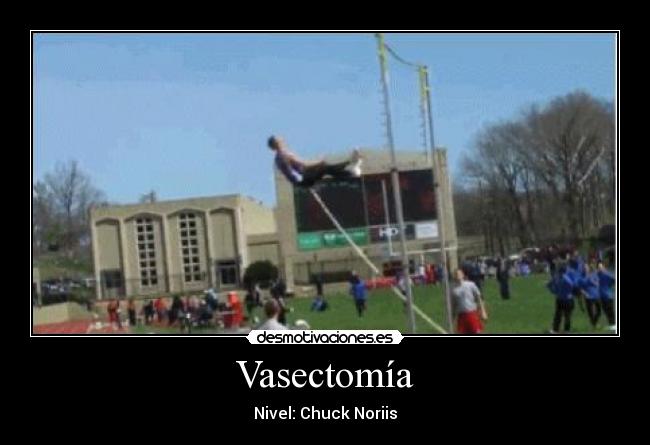 carteles abliux desmotivaciones