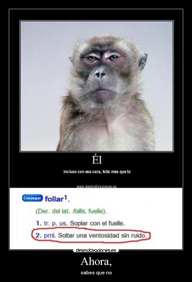 Ahora, - sabes que no