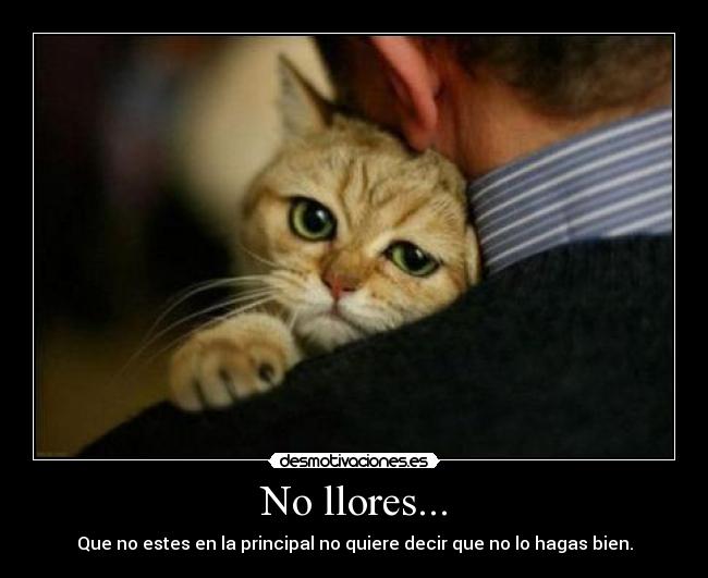 No llores... -