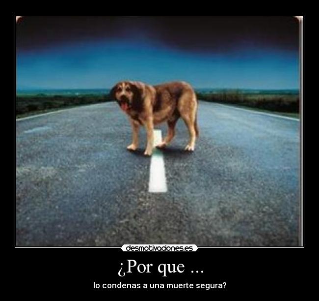 ¿Por que ... - lo condenas a una muerte segura?