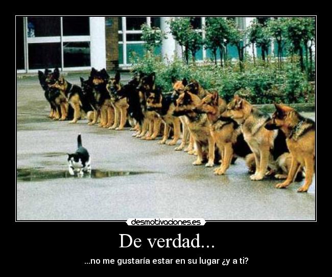 De verdad... - ...no me gustaría estar en su lugar ¿y a ti?