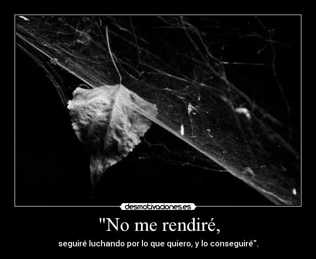 No me rendiré, - seguiré luchando por lo que quiero, y lo conseguiré.