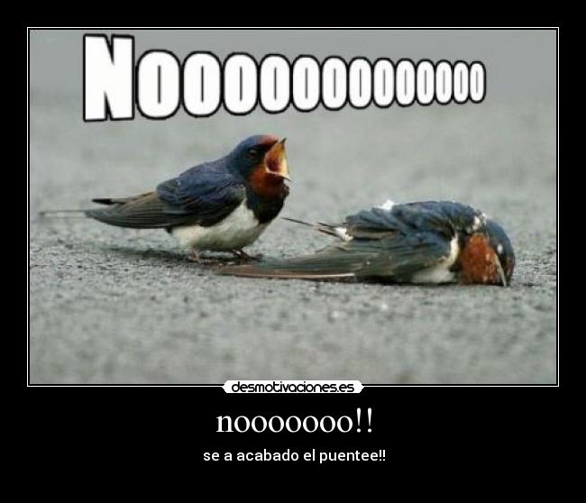 carteles pablitonicomegasergi9 desmotivaciones