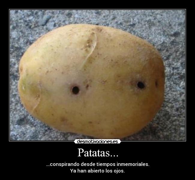 Patatas... - ...conspirando desde tiempos inmemoriales.
Ya han abierto los ojos.