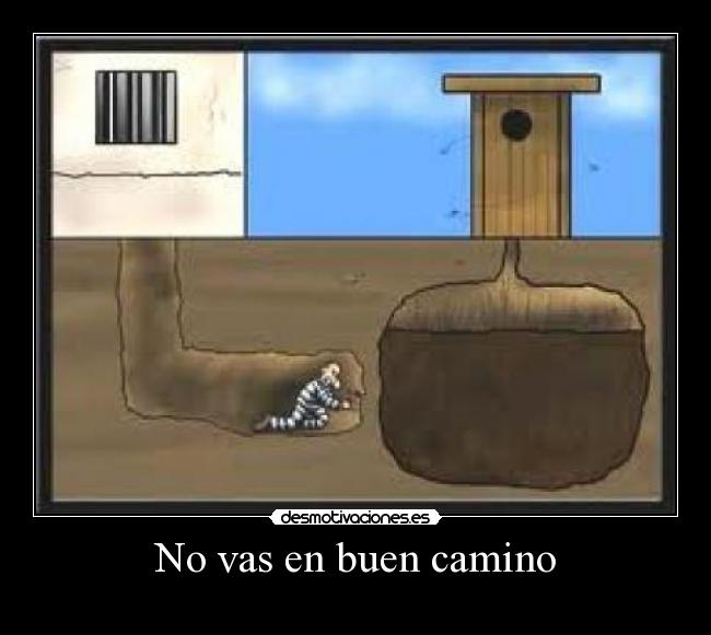 No vas en buen camino - 