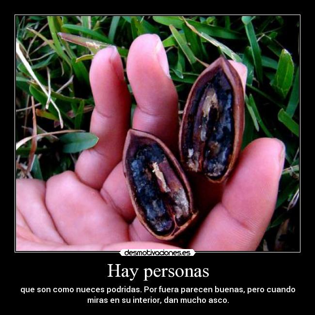 carteles podrida desmotivaciones