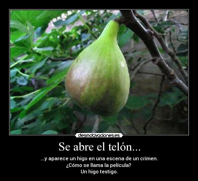 carteles higoss desmotivaciones