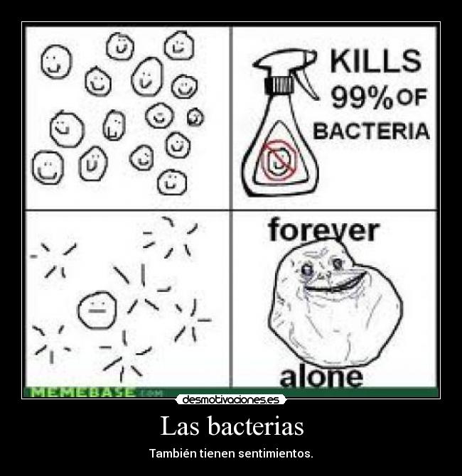 Las bacterias - También tienen sentimientos.