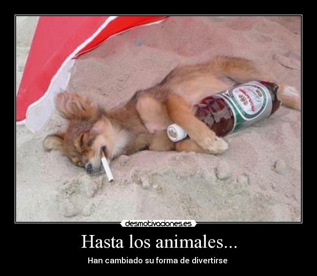 Hasta los animales... - Han cambiado su forma de divertirse 