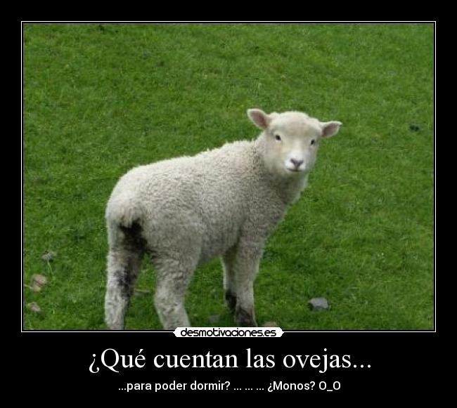¿Qué cuentan las ovejas... - ...para poder dormir? ... ... ... ¿Monos? O_O