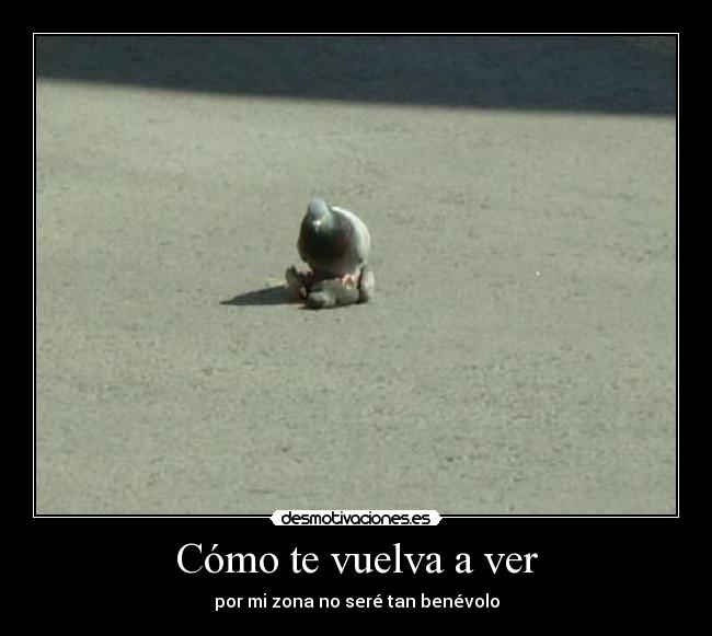 Cómo te vuelva a ver - 