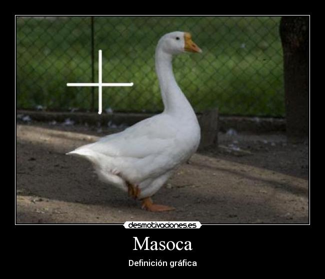 Masoca - Definición gráfica