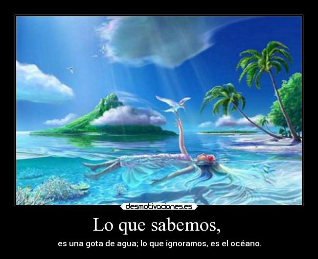 Lo que sabemos,  - 