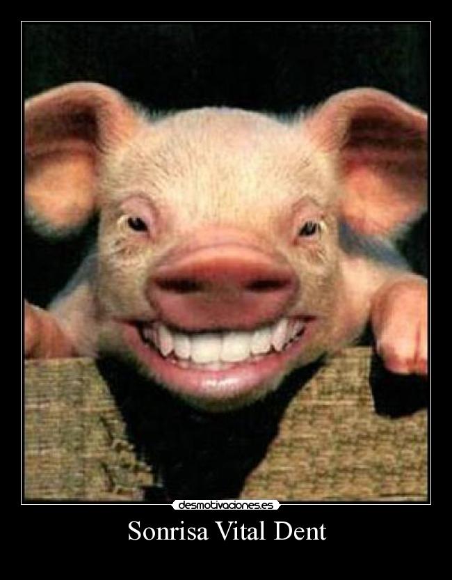 Sonrisa Vital Dent -