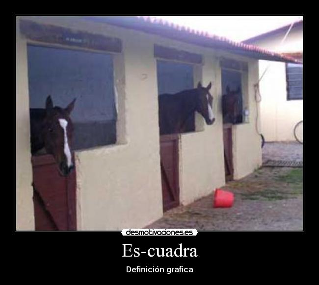 Es-cuadra - 