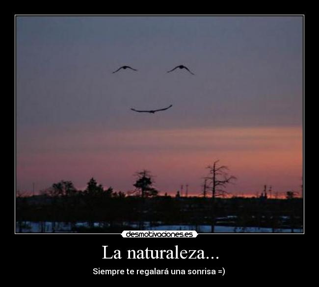 La naturaleza... -