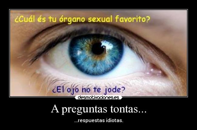 A preguntas tontas... - ...respuestas idiotas.