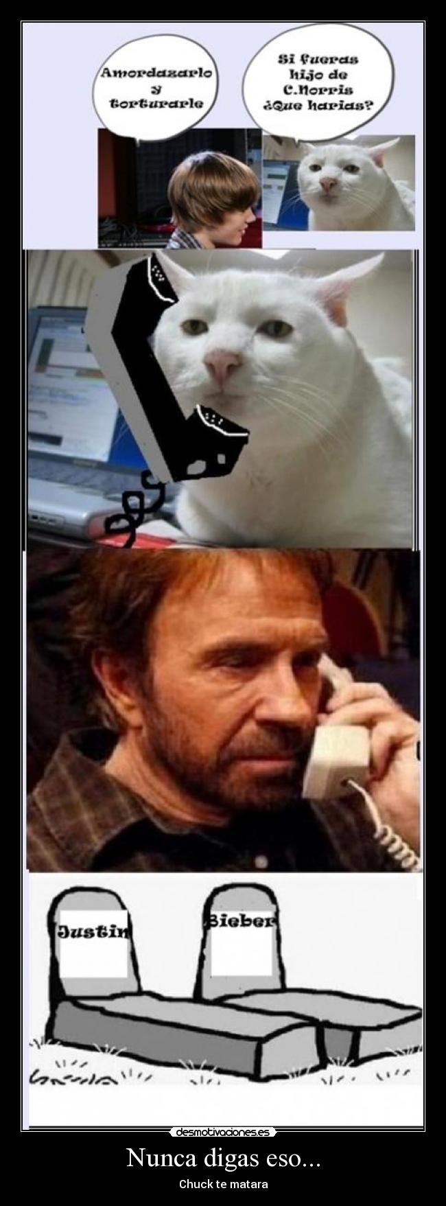 Nunca digas eso... -