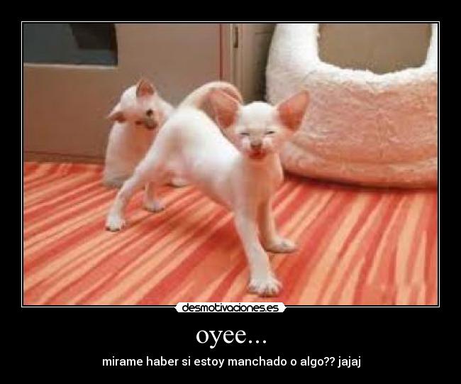 carteles gaku desmotivaciones