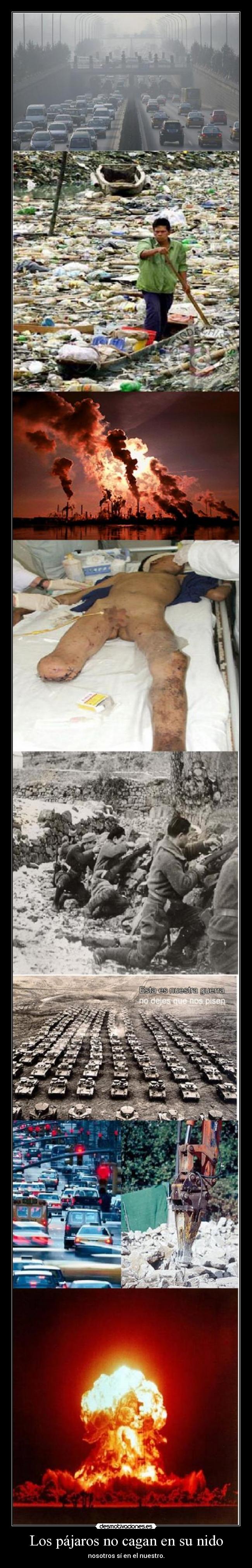 carteles borrada desmotivaciones