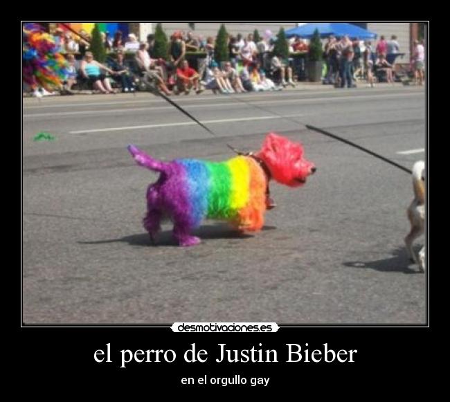 el perro de Justin Bieber - 