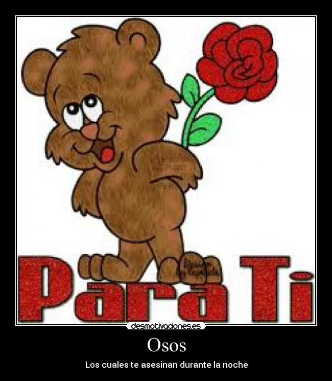 Osos - 