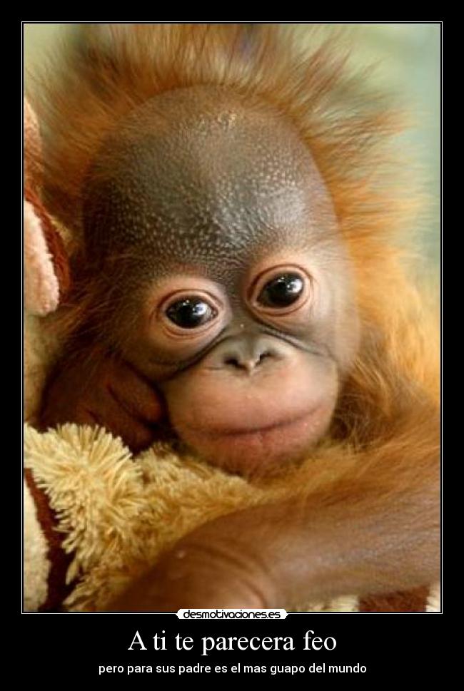 A ti te parecera feo -