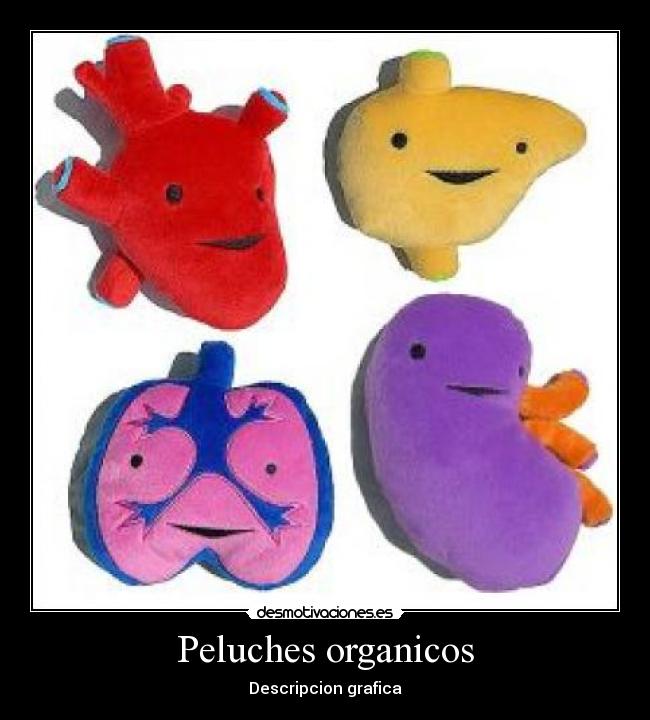 Peluches organicos - 