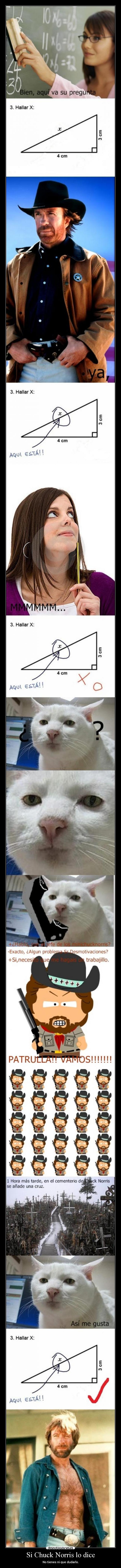 Si Chuck Norris lo dice - No tienes ni que dudarlo.