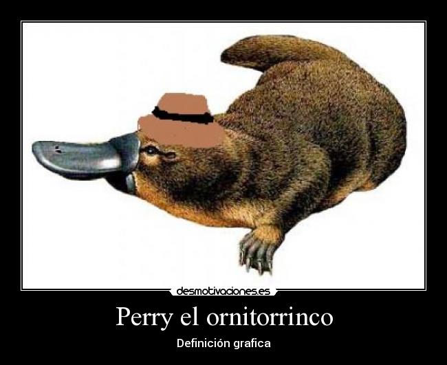 Perry el ornitorrinco - 