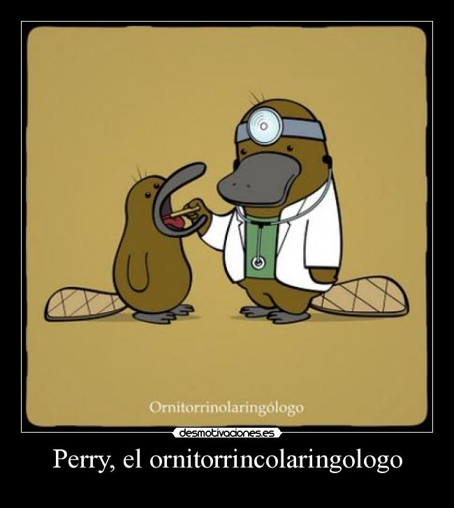Perry, el ornitorrincolaringologo - 