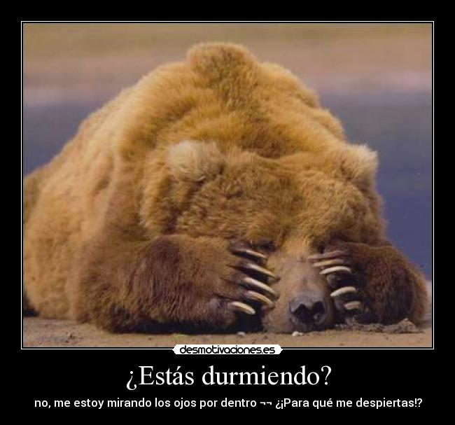 ¿Estás durmiendo? - no, me estoy mirando los ojos por dentro ¬¬ ¿¡Para qué me despiertas!?