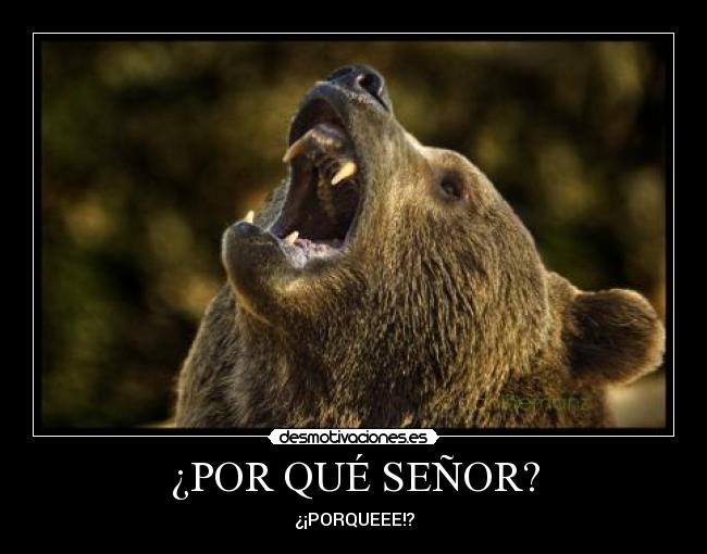 carteles chulololo desmotivaciones