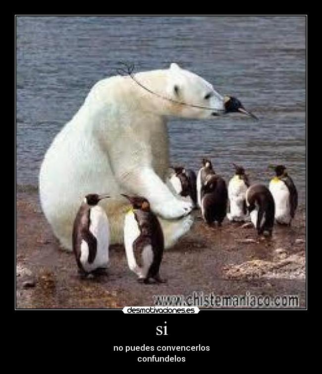 si - no puedes convencerlos
confundelos