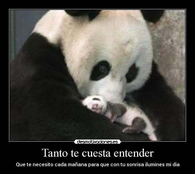 carteles feliz amor desmotivaciones