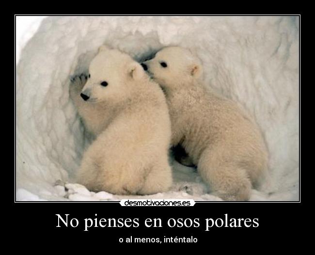 No pienses en osos polares - o al menos, inténtalo