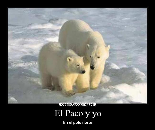 El Paco y yo - En el polo norte