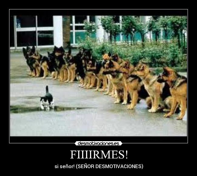 FIIIIRMES! -