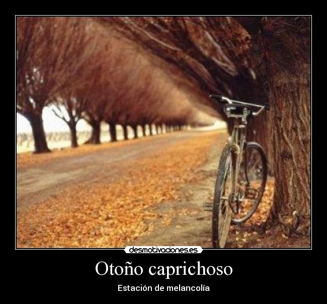 carteles xrxexix desmotivaciones