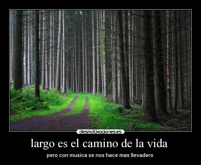 largo es el camino de la vida -