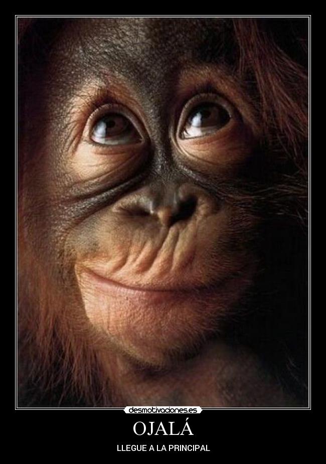 OJALÁ - LLEGUE A LA PRINCIPAL