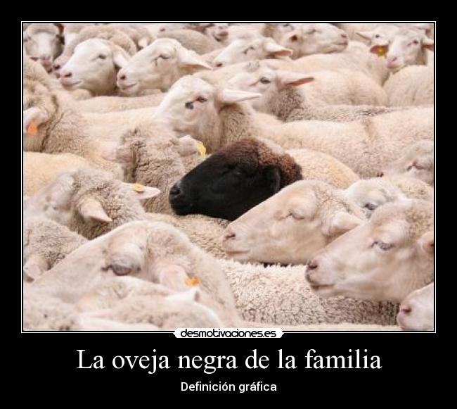 La oveja negra de la familia - Definición gráfica