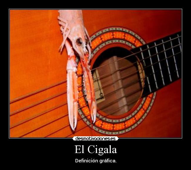 El Cigala -