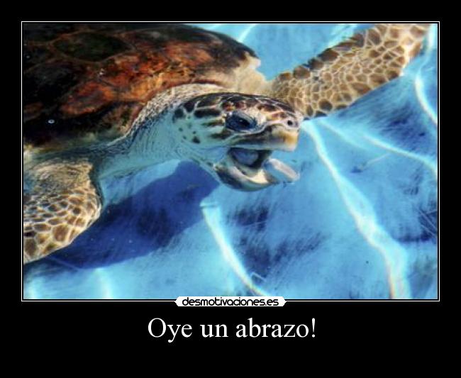 Oye un abrazo! - 